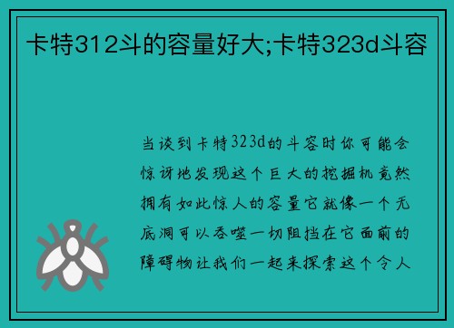 卡特312斗的容量好大;卡特323d斗容